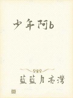 少年阿b