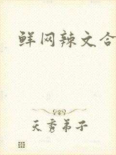 鲜网辣文合集