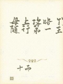 母上攻略 竹影随行第一主板