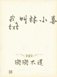 我叫林小喜小说txt