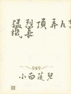 猛烈顶弄h禁欲机长