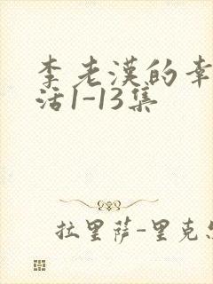 李老汉的幸福生活1-13集