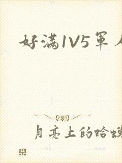 好满1V5军人