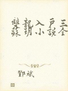 双龙入户三人行苏玥小说全文阅读