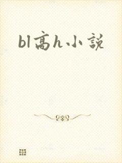 bl高h小说