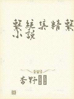 系统集精系统 小说