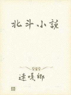 北斗小说
