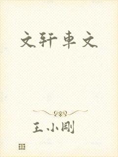 文轩车文