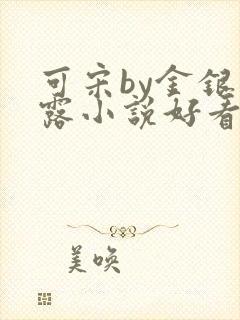 可宋by金银花露小说好看吗
