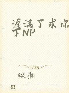 灌满了求你们停下NP