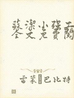 苏洁小强工地情全文免费阅读