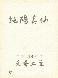 纯阳真仙