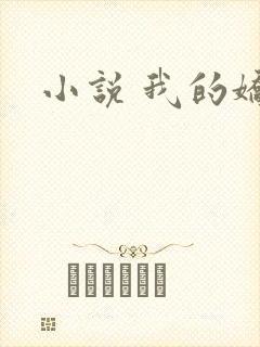 小说 我的娇妻