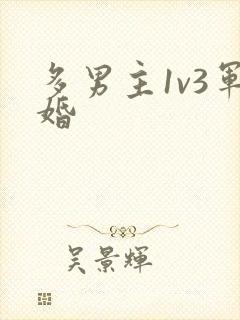 多男主1v3军婚