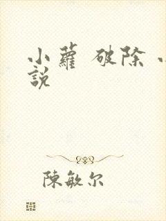 小萝 破除 小说