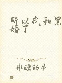 所以我和黑粉结婚了