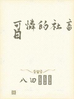 可怜的社畜东度日
