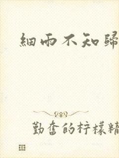 细雨不知归