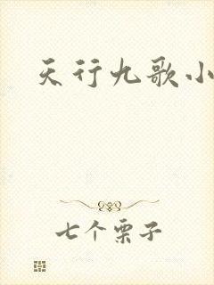 天行九歌小说