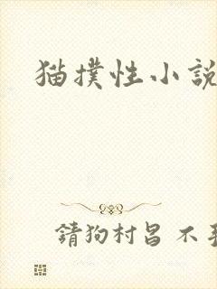 猫扑性小说