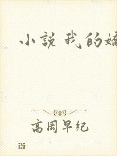 小说 我的娇妻