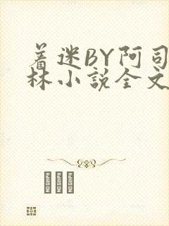 着迷BY阿司匹林小说全文免费阅读