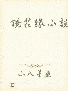 镜花缘小说