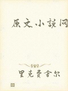 原文小说网