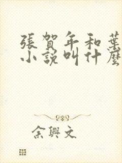 张贺年和叶繁姿小说叫什么名字