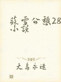 苏雪公憩28篇小说