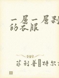 一层一层剥开我的衣服