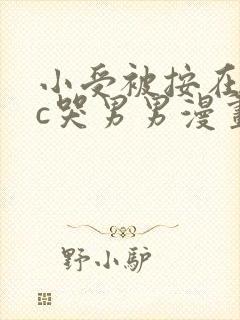 小受被按在墙上c哭男男漫画