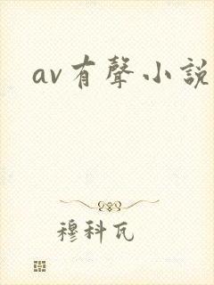 av有声小说