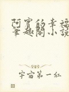 阿宾的幸福生活笔趣阁小说