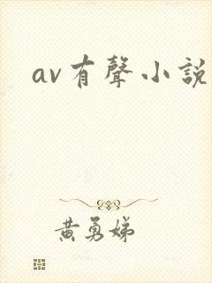 av有声小说