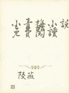 小青梅小说全文免费阅读