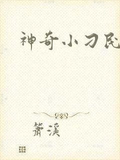 神奇小刁民