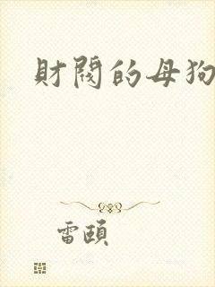 财阀的母狗们