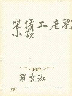 装修工老刘林雪小说