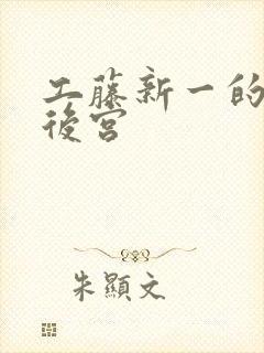 工藤新一的日本后宫