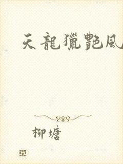 天龙猎艳风流