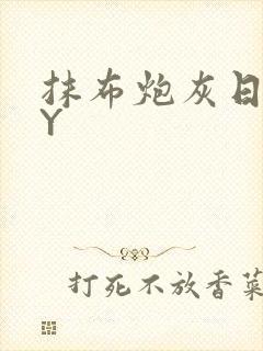 抹布炮灰日记BY