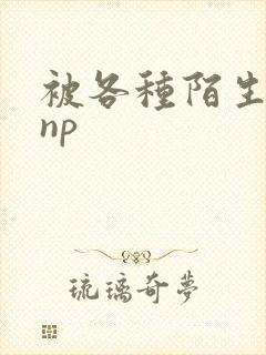 被各种陌生人 np