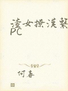 渣女撩汉系统NPC