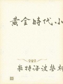 黄金时代小说