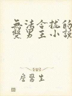 无法合拢的总裁双男主小说