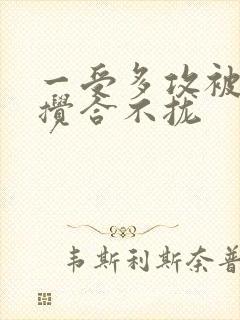 一受多攻被双龙搅合不拢