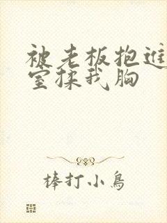 被老板抱进办公室揉我胸