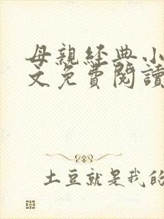 母亲经典小说全文免费阅读