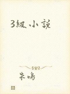3级小说